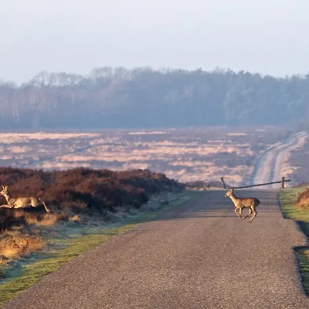 Postillion Amersfoort Veluwemeer 4* Putten