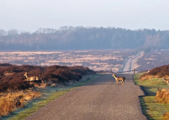 Postillion Amersfoort Veluwemeer 4* Putten